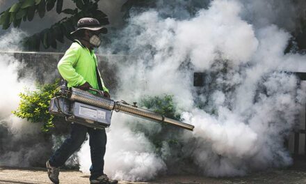 Continuan las acciones conjuntas para combatir el dengue EN POSADAS